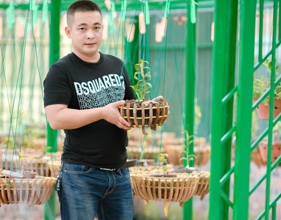 Nghệ nhân Lưu Đình Thảo và niềm đam mê mãnh liệt với hoa lan