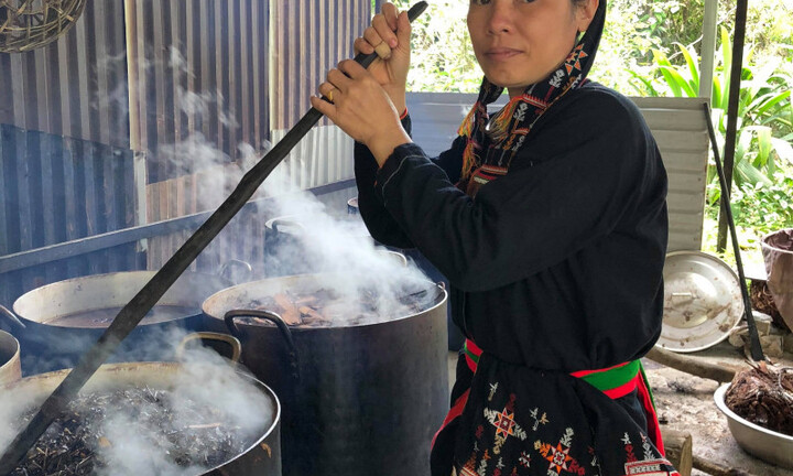 Công cuộc “cấy gen” cây thuốc quý cứu cả vạn người bị xương khớp của “thần y núi Tản”