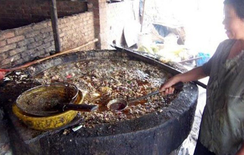 Kiếm 200 tỷ từ dầu ăn cống rãnh