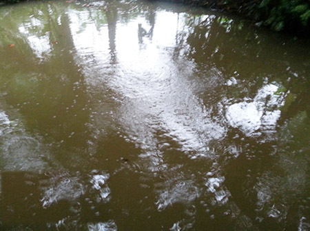 Kỳ lạ bàu nước sôi sục khi có tiếng người ở Vĩnh Long