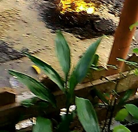 Mặt đường phát nổ, bốc cháy bất thường ở TP.HCM