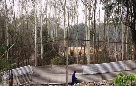 Đền bù thế nào đối với nạn nhân vụ nổ kho pháo hoa Phú Thọ?