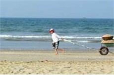 Phát hiện thi thể phụ nữ không đầu trôi dạt vào bờ biển