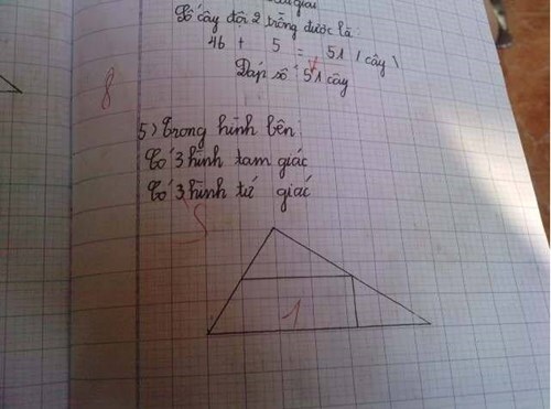 Dân mạng tranh cãi 