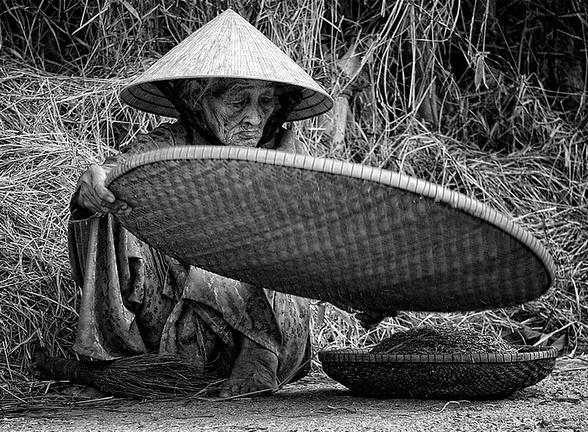 Lạ đời con cái được bố mẹ nuôi khôn lớn còn trách móc, oán hận