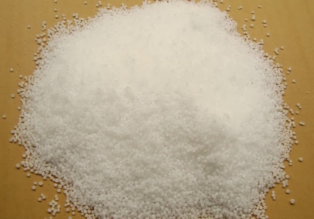 Cách nhận biết các loại hải sản bị tẩm ướp urê