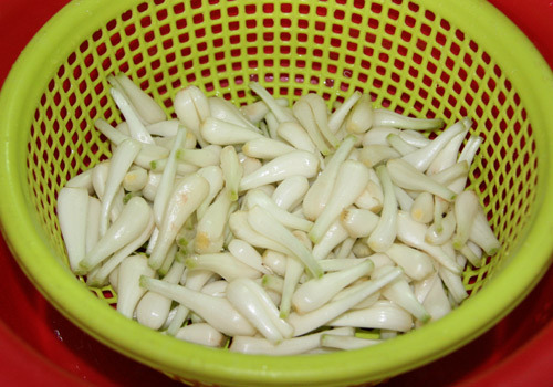 Cách muối củ kiệu ngon giòn đúng điệu cho ngày Tết