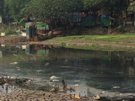 Dân Hà thành trồng 