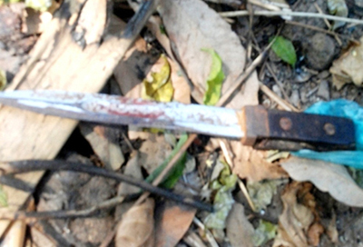 Những kẻ hèn mạt đi 