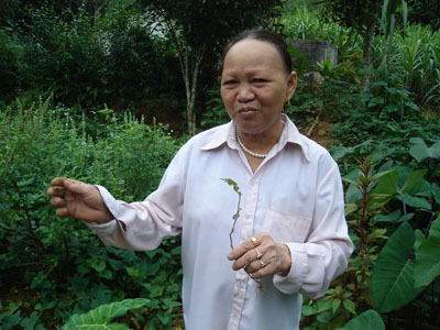 Bất ngờ “thần dược” làm trắng da của sơn nữ Dao Tiền