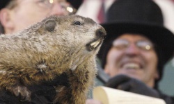 10 truyền thống độc đáo ở Mỹ