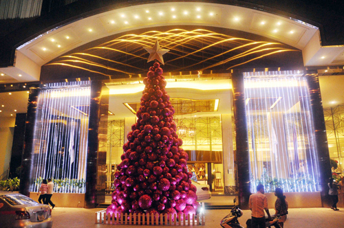 Những cây thông Noel 