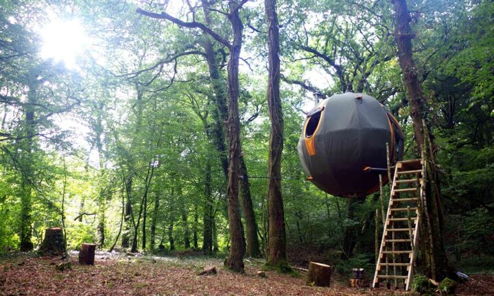 Chiêm ngưỡng khách sạn độc đáo “lơ lửng” trên cây