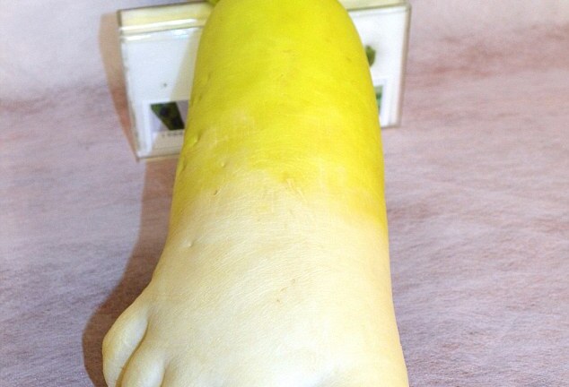 Độc đáo củ cải xanh hình bàn chân 5 ngón nặng 1,5 kg