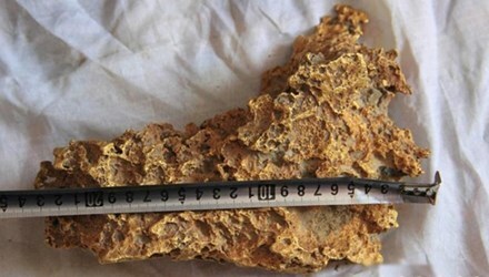 Nông dân bất ngờ nhặt được cục vàng nặng gần 8 kg
