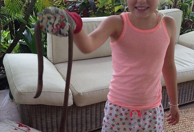 Kinh hãi giun đất khổng lồ dài 1 mét