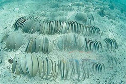 Trung Quốc dùng “chiêu” khảo cổ để đòi chủ quyền lãnh hải