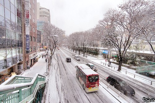 Tuyết rơi dày ở Tokyo, hơn 320 nạn nhân