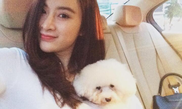Angela Phương Trinh đưa thú cưng đi spa