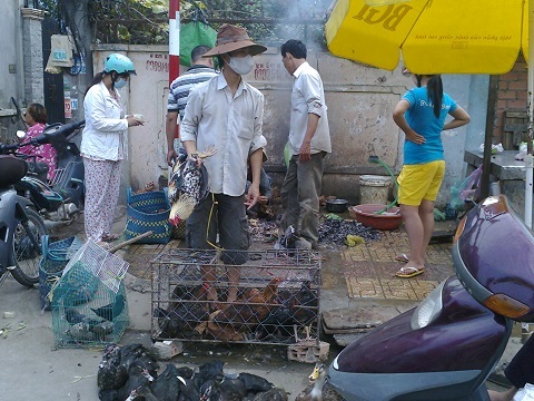 Thực phẩm 'bẩn' tràn ngập thị trường Tết