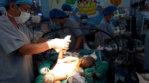 Sức khỏe của Phi Long và Phi Phụng đang tiến triển rất tốt