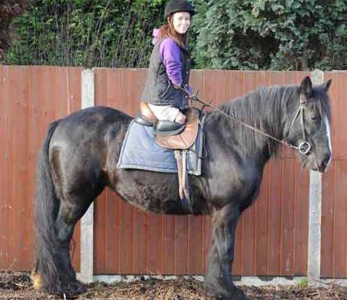 Ngưỡng mộ nghị lực của cô gái cụt các chi