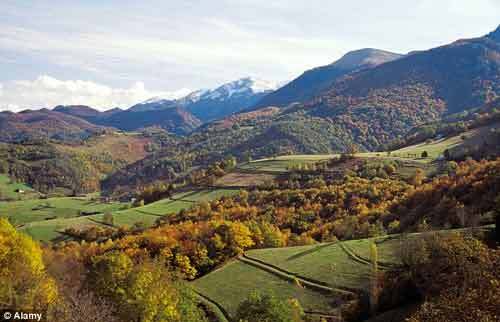 Con trai tự tử sau khi vô tình bắn chết bố khi đi săn