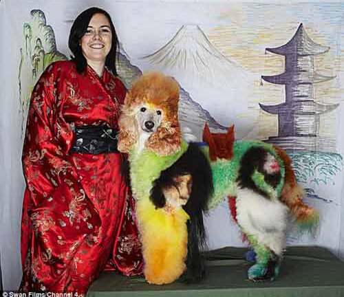 Ngắm những chú chó được trang điểm đẹp như tranh