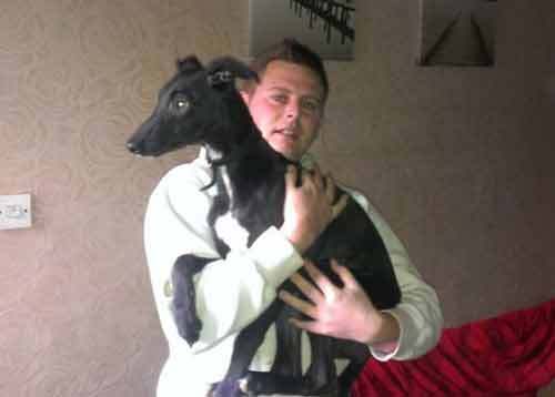 Chó cưng phá tan nhà chủ vì nhai hộp khử mùi