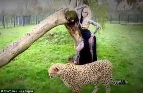 Tranh luận trái chiều vụ người mẫu liều lĩnh “khoe thân” bên loài báo  