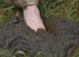 Rợn người với cách dùng phân bò để chữa ngứa chân