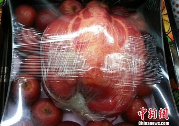 Cận cảnh trái táo khổng lồ nặng tới 1,2 kg