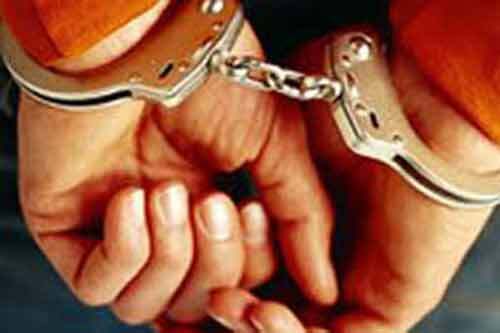 Bình Định: Bắt tên lâm tặc đâm chết người lẩn trốn trong rừng