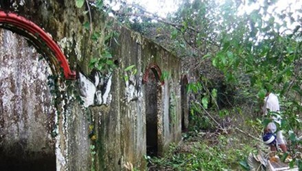 Hé lộ nữ đại gia chi tiền tỷ xây “biệt thự” cho thú cưng