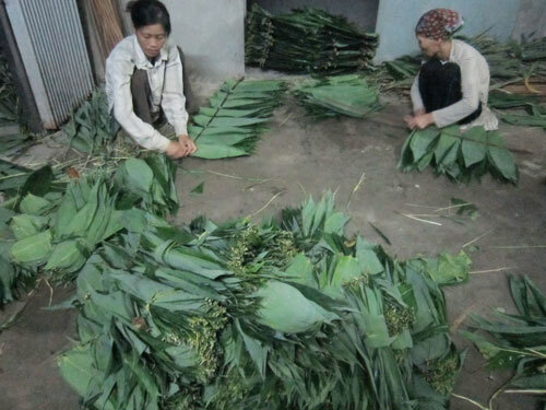 Nhiều hộ dân đổi đời từ công việc “nhặt lá... hóa tiền” 