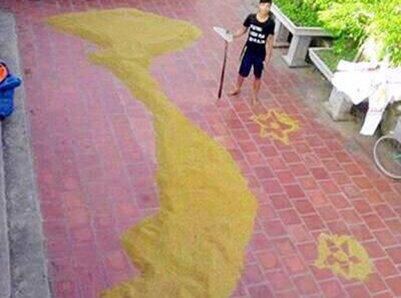 Tấm bản đồ Việt xếp bằng hạt thóc gây sốt