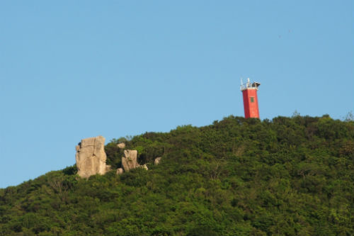 Phú Yên: Loại bỏ hai dự án FDI vốn gần 50 triệu USD