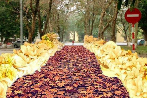 51 cặp đôi nhảy trên “con đường tình yêu” độc đáo ở ĐH Bách Khoa