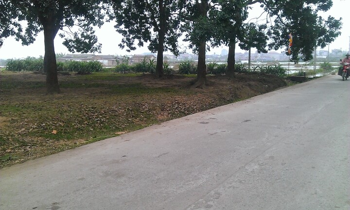 Nam sinh giết người để 