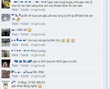 Chàng trai chở Gấu đi chơi Noel gây sốt cộng đồng mạng