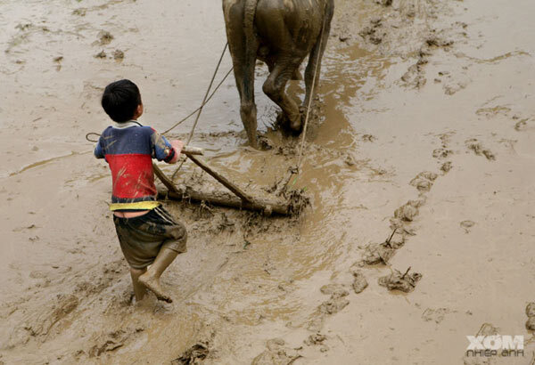 Xúc động bức hình: Tuổi thơ của em là đây