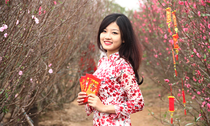 Nữ sinh Học viện Báo chí- Tuyên truyền duyên dáng bên hoa đào