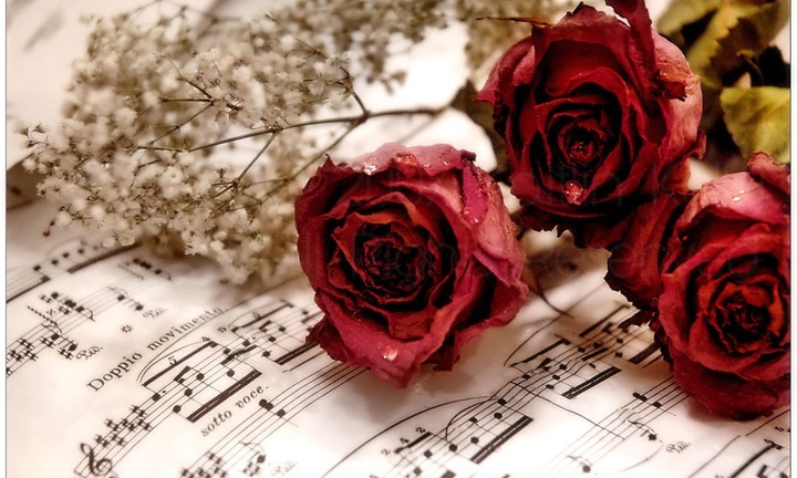 Nước mắt mặn chát ngày Valentine