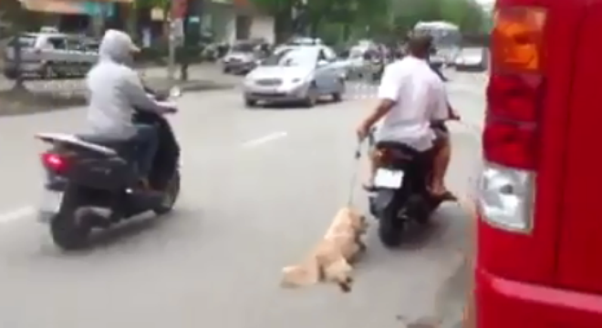 Đắng lòng nhìn những kiểu 