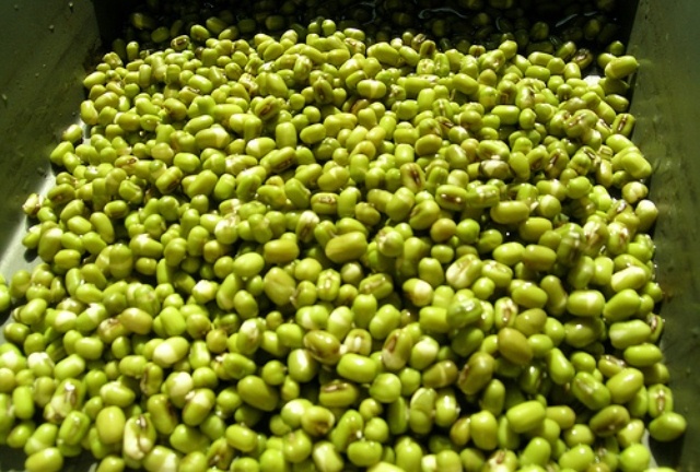 Thưởng thức vị dịu ngọt Bánh gai Ninh Giang