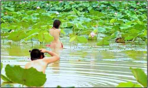Sững sờ nhìn em gái khỏa thân uốn éo chụp ảnh bên hoa sen