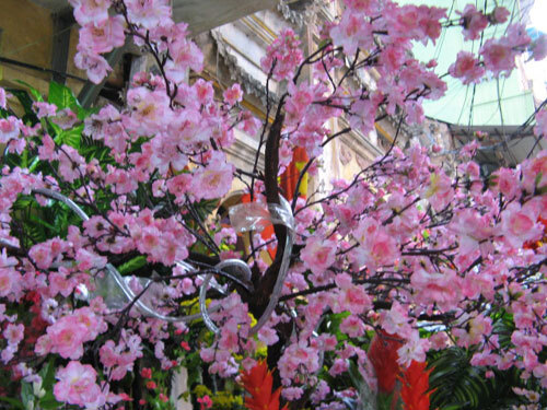 Bí quyết giữ cây đào luôn đẹp lung linh trong ngày Tết 