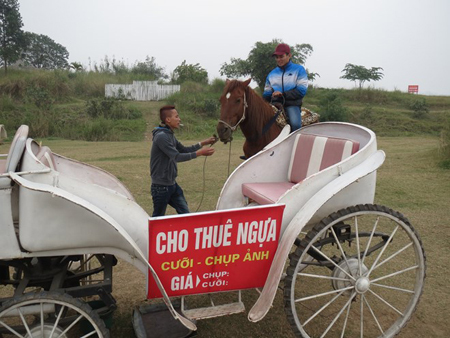 Tết Giáp Ngọ, dịch vụ ngựa “lên ngôi”