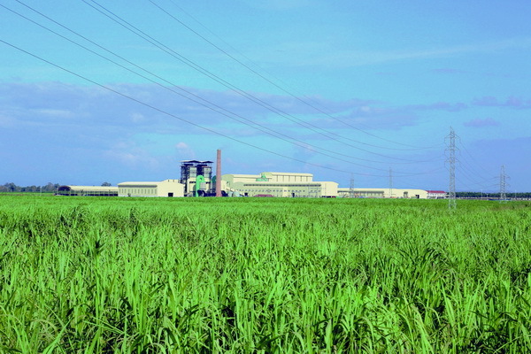 Bầu Đức tuyên bố chắc nịch sẽ nuôi bò thành công