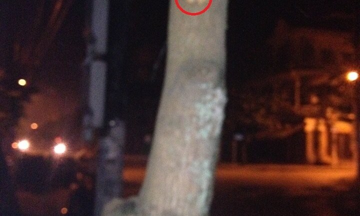 Đấu súng kinh hoàng trong đêm, ba người thương vong